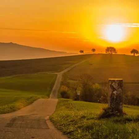Landgasthof Schuetzen Tengen